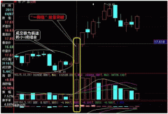 ��һ��ָ�����뷨