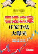 看透庄家:庄家手法大曝光pdf下载