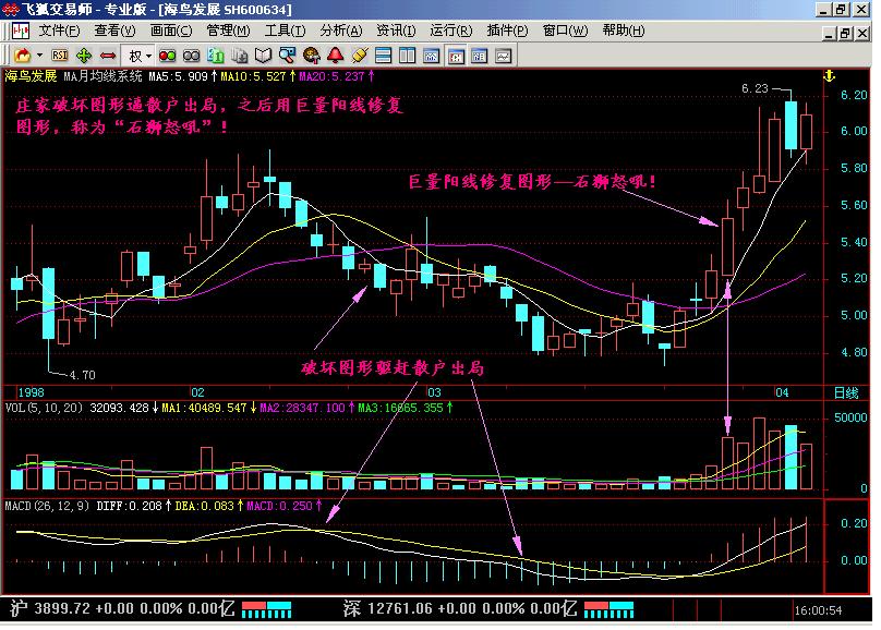 新生300天图解教程之石狮怒吼,海鸟飞天K线图解
