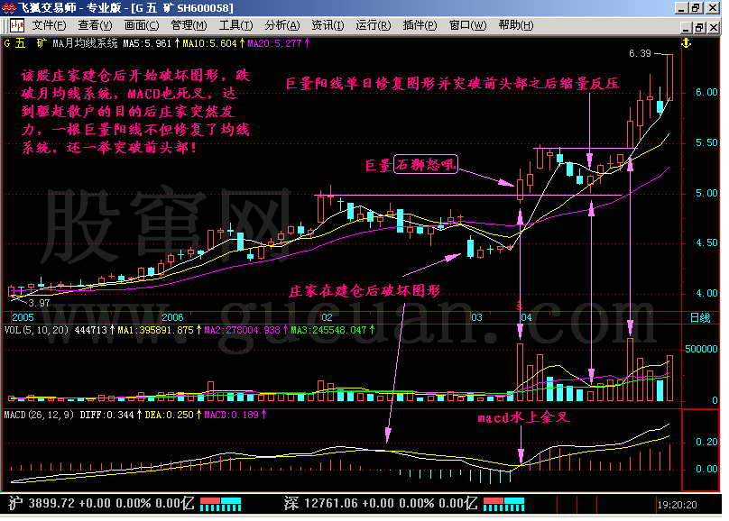 新生300天图解教程之石狮怒吼,海鸟飞天K线图解