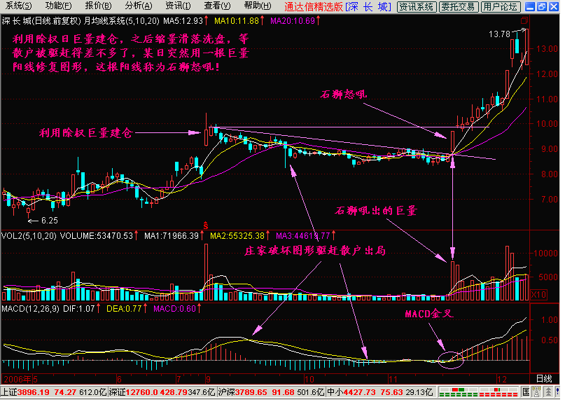 新生300天图解教程之石狮怒吼,海鸟飞天K线图解