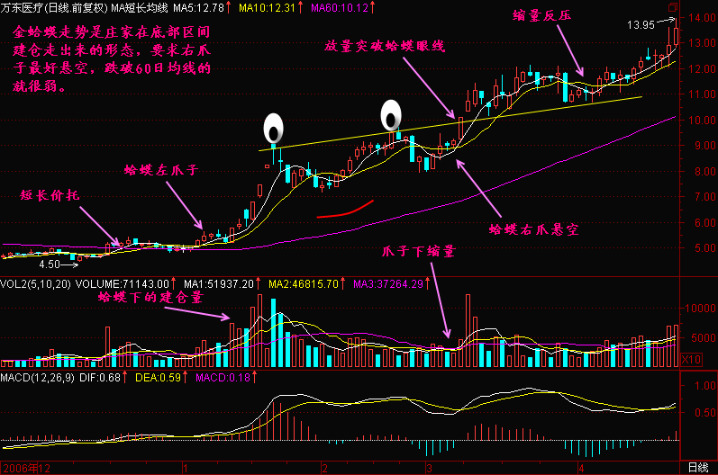 新生300天图解教程之金蛤蟆K线图解