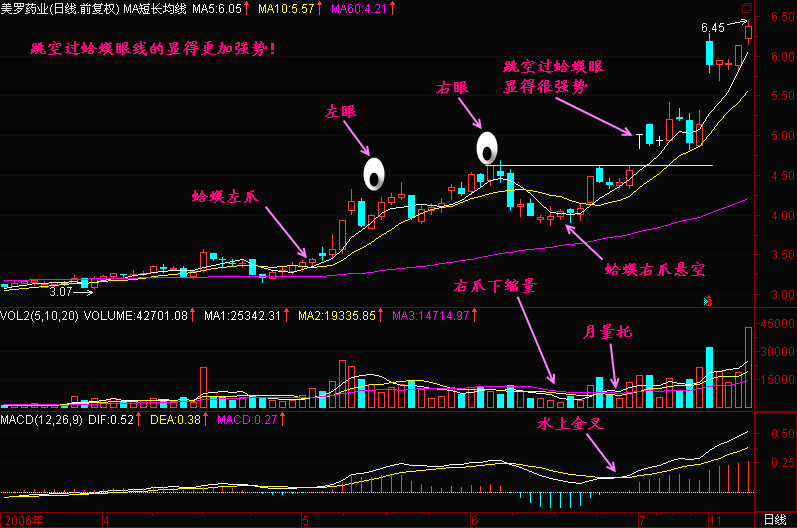 新生300天图解教程之金蛤蟆K线图解