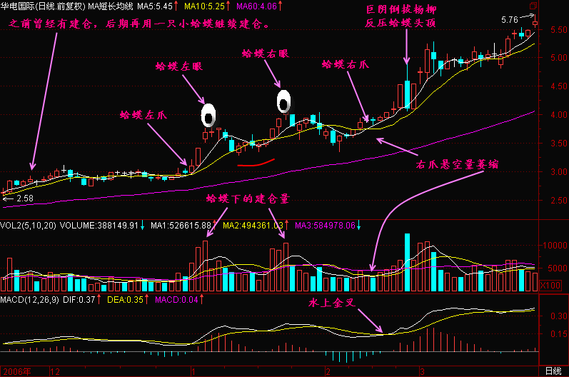 新生300天图解教程之金蛤蟆K线图解