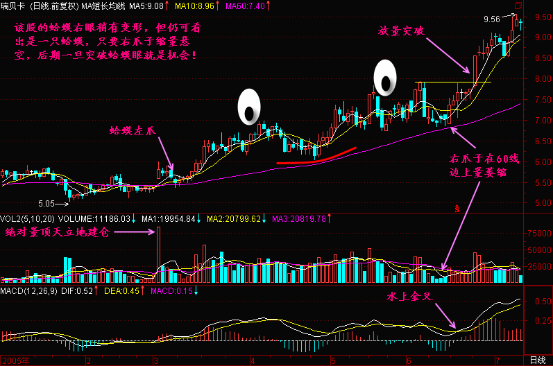 新生300天图解教程之金蛤蟆K线图解