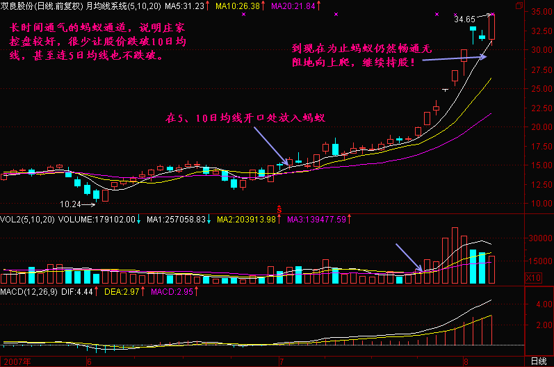 300天图解教程之蚂蚁功K线图解