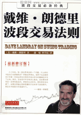 戴维·朗德里波段交易法则pdf下载