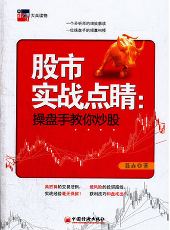 股市实战点睛:操盘手教你炒股pdf