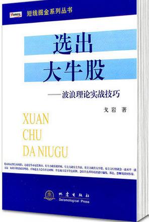 选出大牛股波浪理论实战技巧pdf