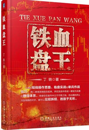铁血盘王pdf