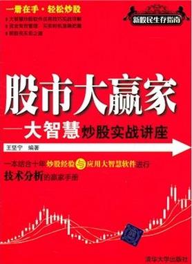 股市大赢家pdf