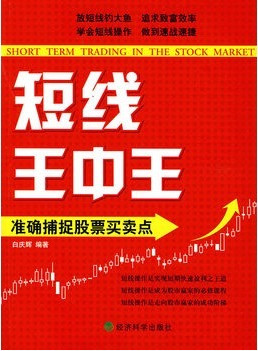 短线王中王:准确捕捉股票买卖点pdf下载