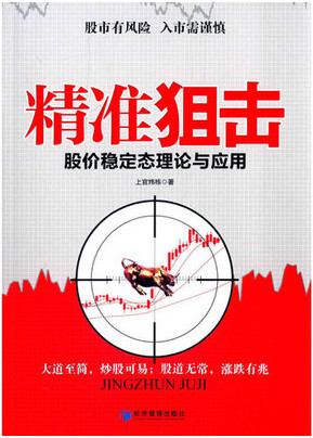 精准狙击 股价稳定态理论与应用pdf下载