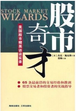 股市奇才pdf下载