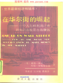在华尔街的崛起pdf下载