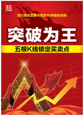 突破为王五根K线锁定买卖点pdf下载
