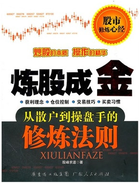 炒股靠技术 股市职业炒手的经典总结pdf下载