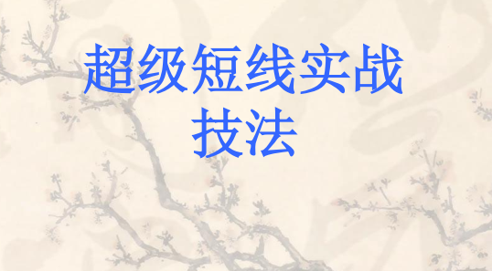 ʵսpdf