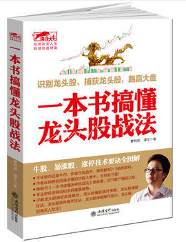 一本书搞懂龙头股战法PDF