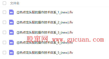 操盘手十年之——24、热点龙头股的操作技术体系(共5集)【投资技术学习视频教程】