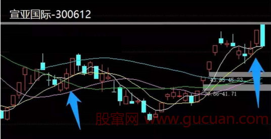 天天看盘复盘哥干货教程【第31期】周六专栏 讲讲龙回头怎么做